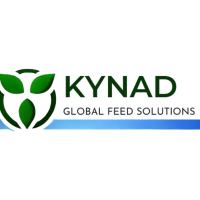 Kynad